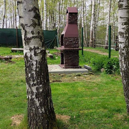Apartament Cypla Czar Polańczyk Zewnętrze zdjęcie